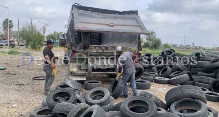 Urge un sitio para disposición final de llantas