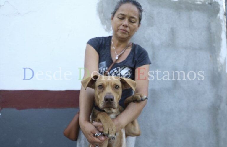 Siguen las acciones a favor de los animales