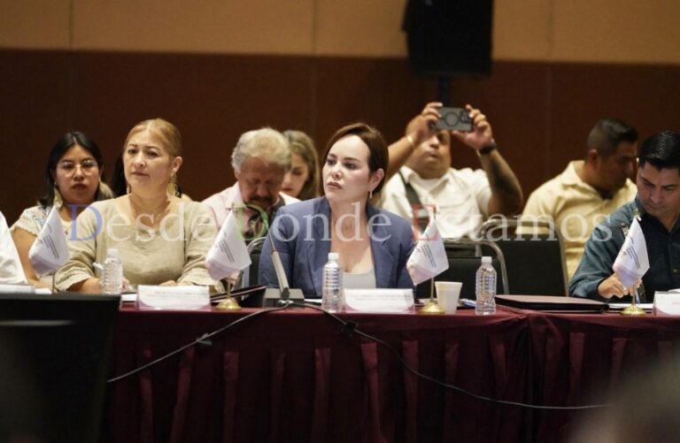 Participa Carmen Lilia Canturosas en conferencia nacional de seguridad pública