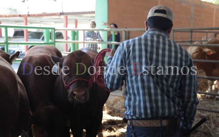 Brinda gobierno municipal apoyos a ganaderos locales