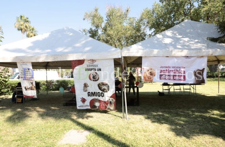 Gobierno municipal resliza Feria de Adopción Canina y Felina