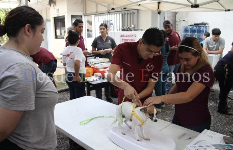 Realiza la UAT brigada comunitaria en el CBTIS 24 de Ciudad Victoria