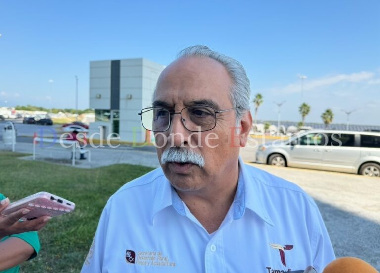 Buscará Desarrollo Rural no caer en subejercicios en 2024.