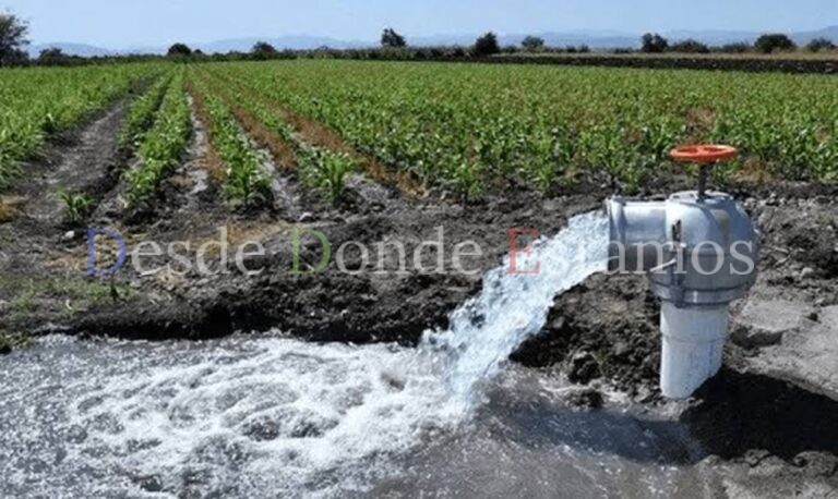 Consume sector agrícola mayor volumen de agua