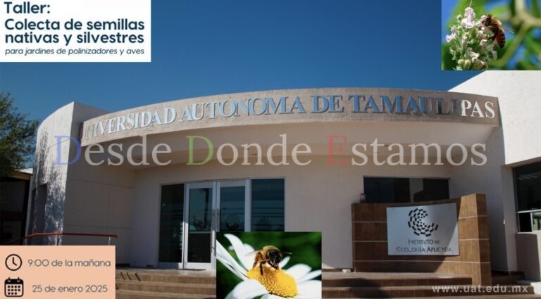 Invita la UAT al taller sobre colecta de semillas de plantas nativas polinizadoras