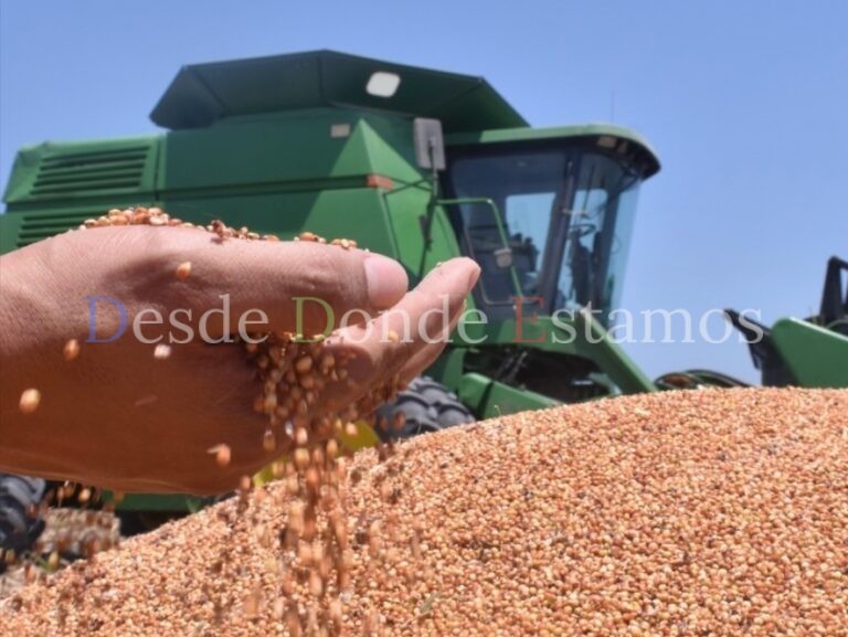 Con la rehabilitación el distrito de riego 026 la producción de granos se incrementará 40 %