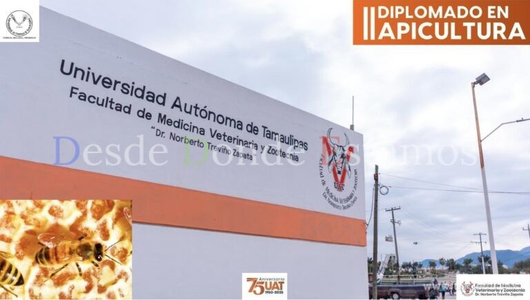 Impartirá la UAT un diplomado en Apicultura