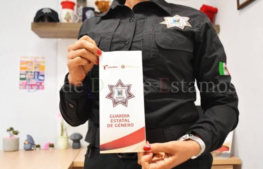 Denuncias de hechos de violencia de genero aumentan 30 porciento