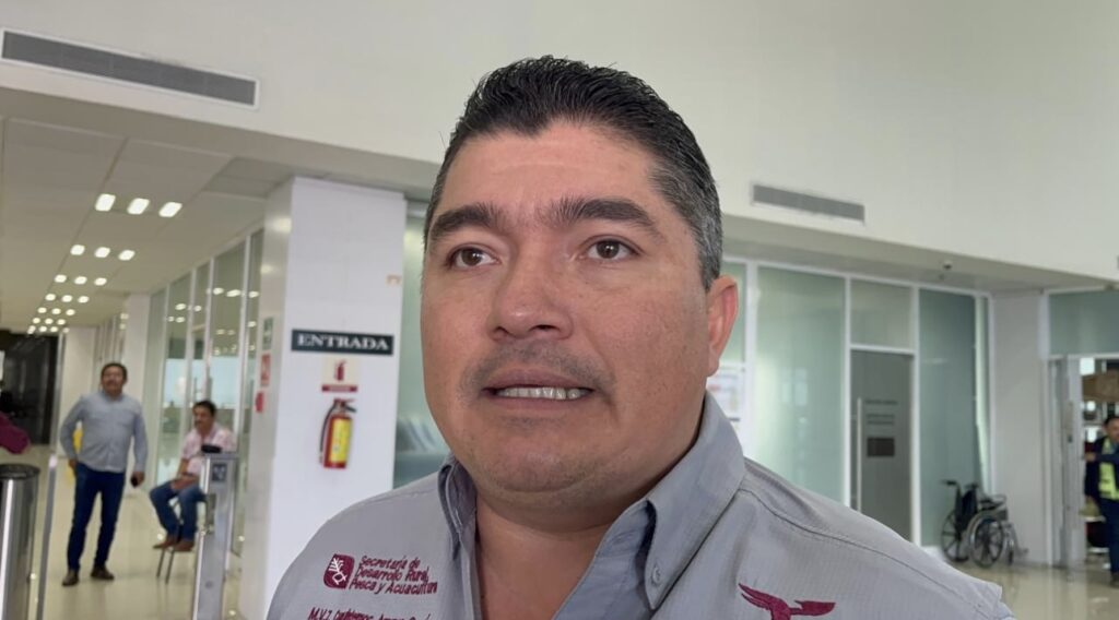 Construirán estación cuarentenaria para exportar ganado de Tamaulipas