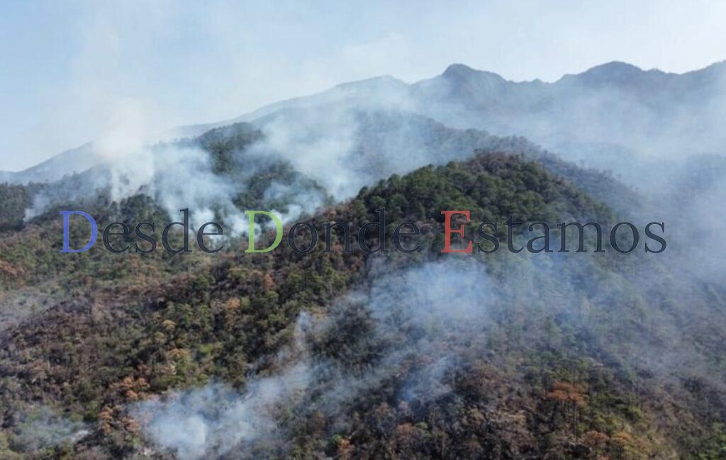Aumentan incendios forestales; afectadas casi siete mil hectáreas