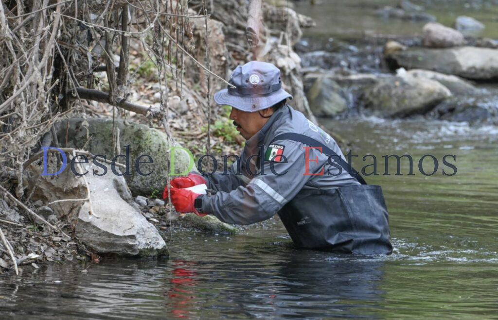 Unen esfuerzos gobierno y sociedad para sanear el río San Marcos