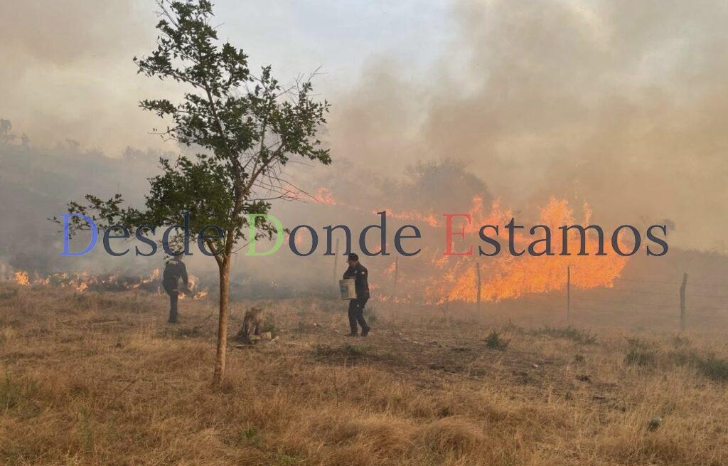 Buscan ayudar a productores que tuvieron pérdidas por incendios