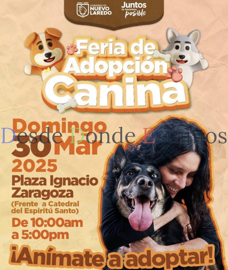 Invitan a participar en Feria de Adopción Canina