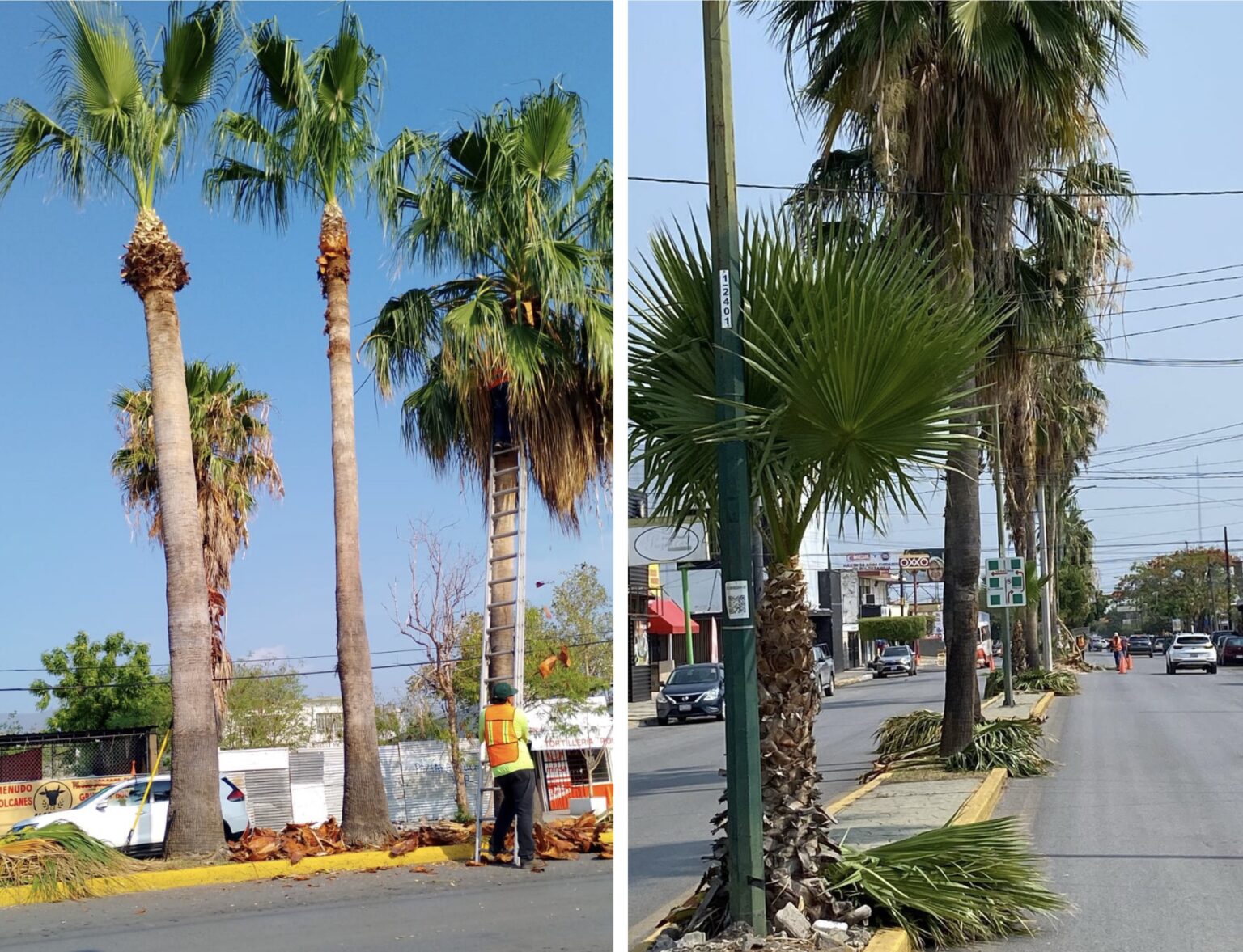 Fortalece municipio limpia y mantenimiento de vialidades y áreas verdes