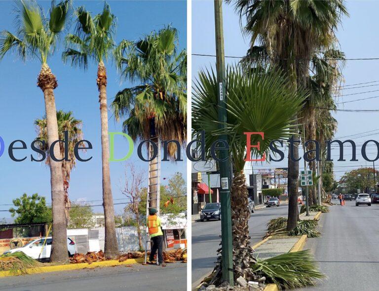 Fortalece municipio limpia y mantenimiento de vialidades y áreas verdes