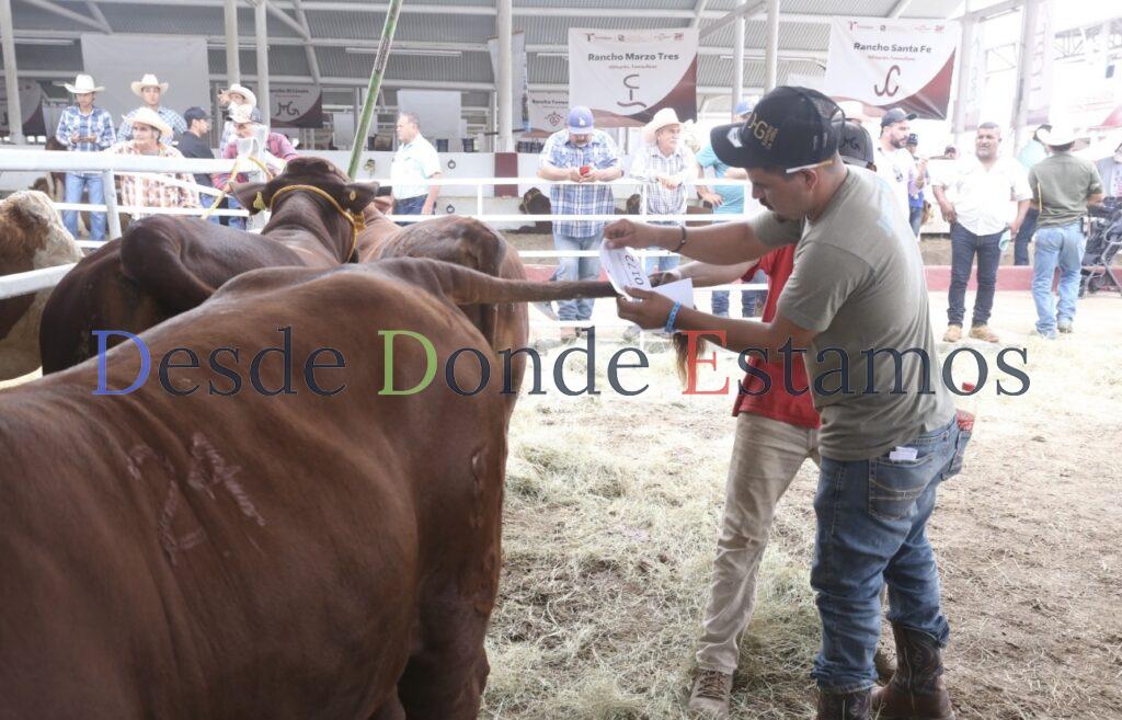 Prepara Desarrollo Rural evento de Mejoramiento Genético 2025