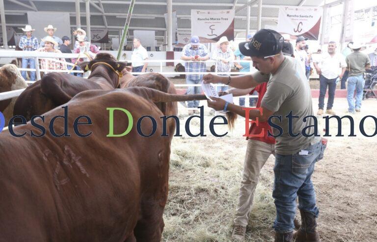 Prepara Desarrollo Rural evento de Mejoramiento Genético 2025