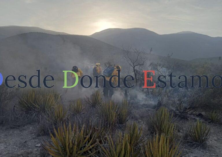 Refuerzan brigadistas de la SEDUMA combate a incendio de pastizales en Tula