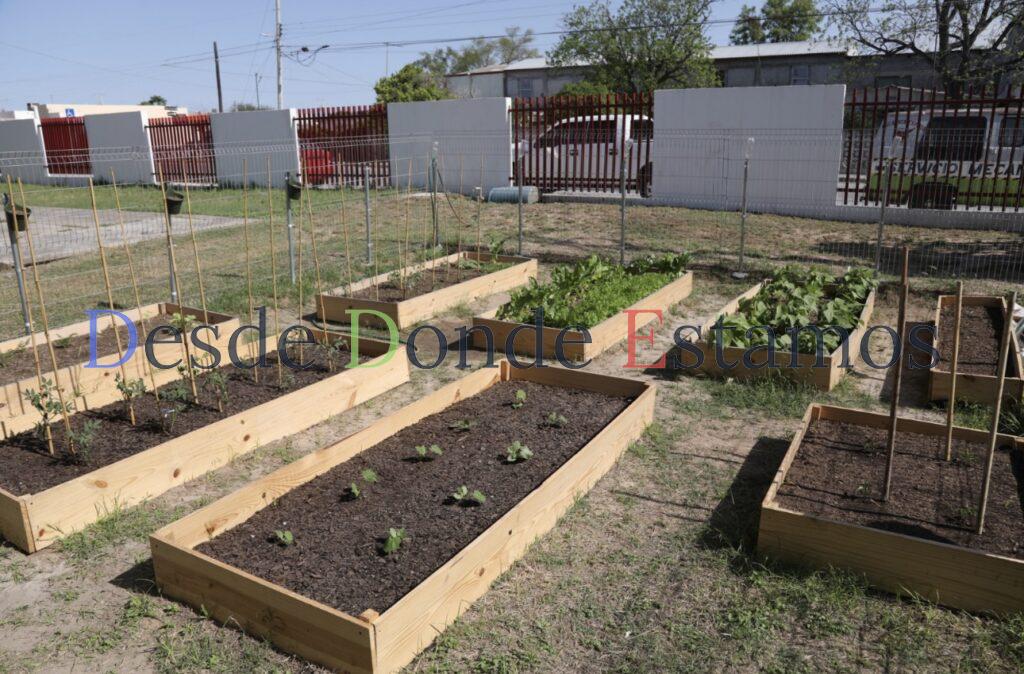 Concluyen con éxito los cursos de huertos familiares en Nuevo Laredo