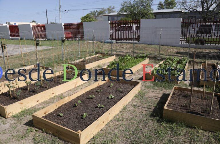 Concluyen con éxito los cursos de huertos familiares en Nuevo Laredo