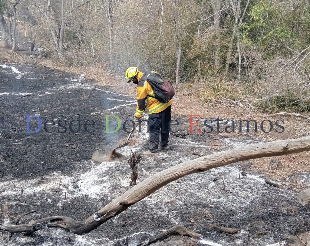 Afectan cinco mil hectáreas incendios forestales; podrían registrarse más
