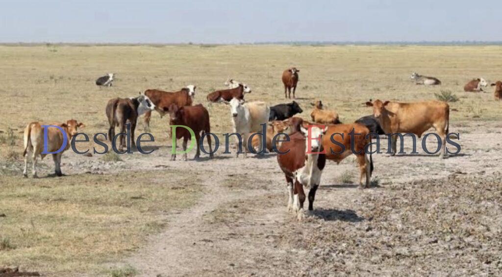 Espera Tamaulipas aumentar su estatus sanitario en junio