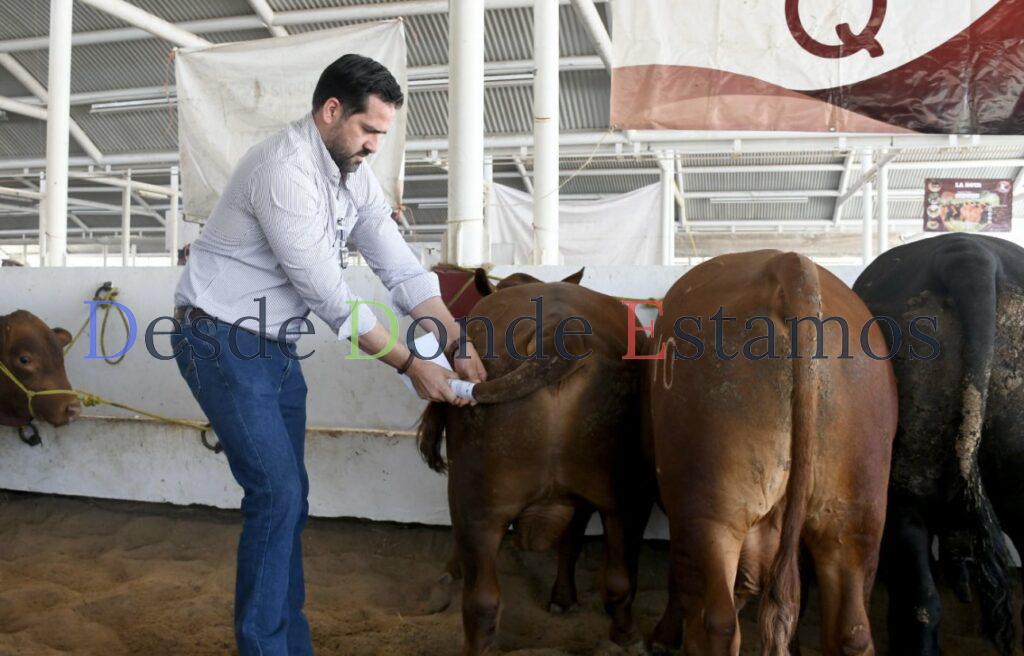 Destinan 19 millones de pesos para mejoramiento genético