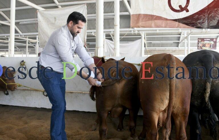 Destinan 19 millones de pesos para mejoramiento genético