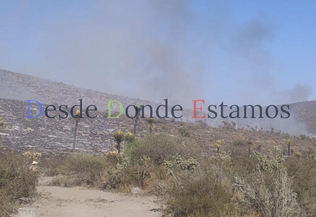 Van más incendios en este año, que en el 2024