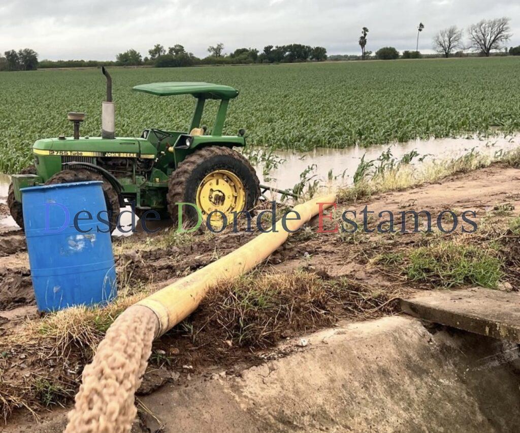 Desaguan productores sus parcelas ante excesos de lluvias
