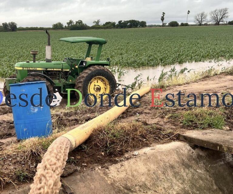 Desaguan productores sus parcelas ante excesos de lluvias