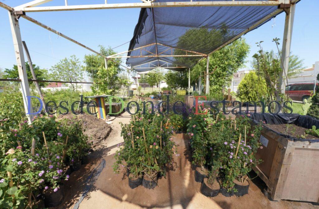 Inicia creación de Jardines Polinizadores en espacios públicos