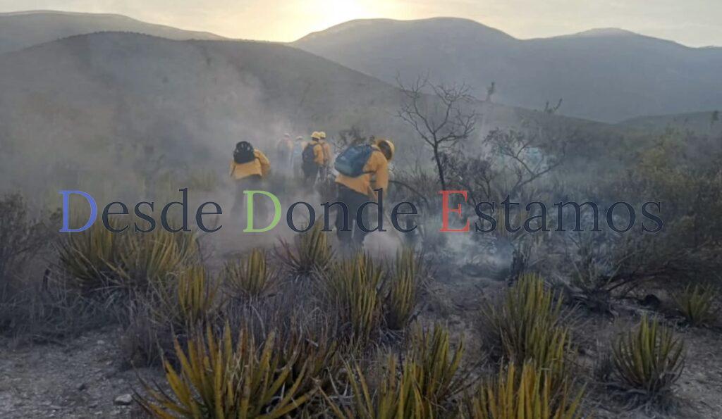 Más de 700 hectáreas afectadas por incendio forestal en sierra de Casas