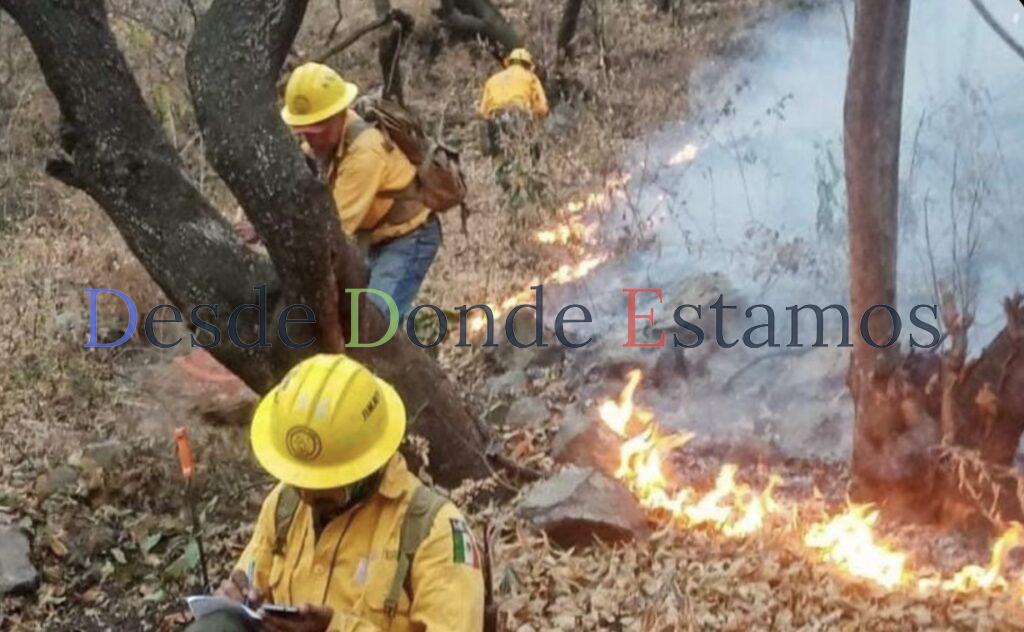 Mayoría de incendios provocados por descuidos