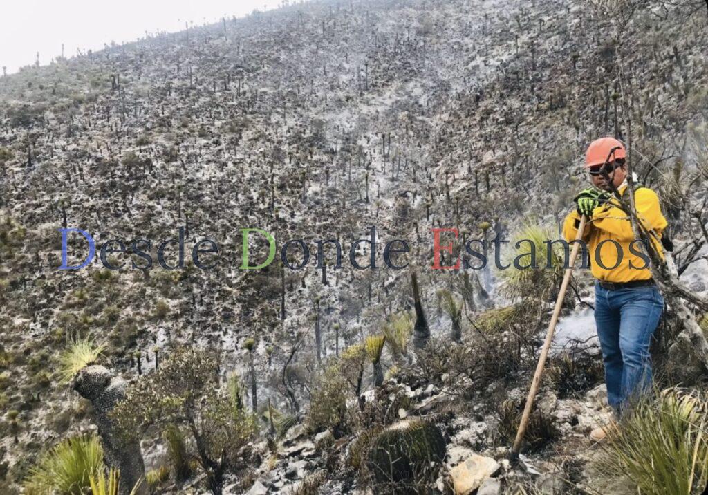 Castigo de 10 años a quien provoque incendios forestales