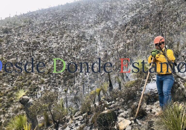 Castigo de 10 años a quien provoque incendios forestales