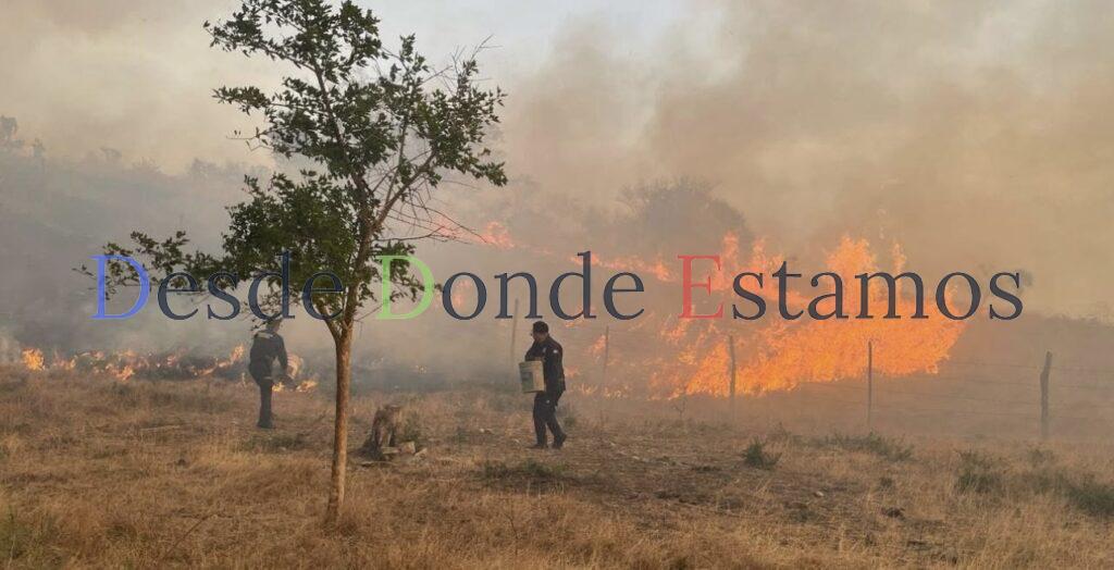 Imparables incendios asociados a fuertes vientos
