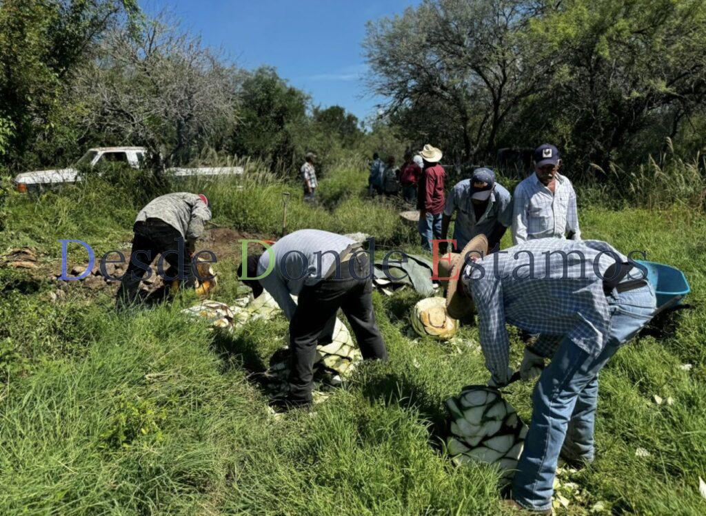Impulsan extensionismo forestal en apoyo a productores tamaulipecos