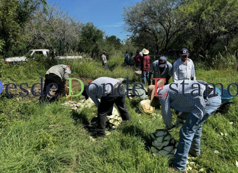 Impulsan extensionismo forestal en apoyo a productores tamaulipecos