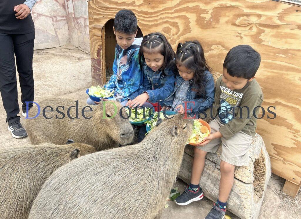 Zoológico, acuario y alberca gratis este sábado en Festuval del día del niño