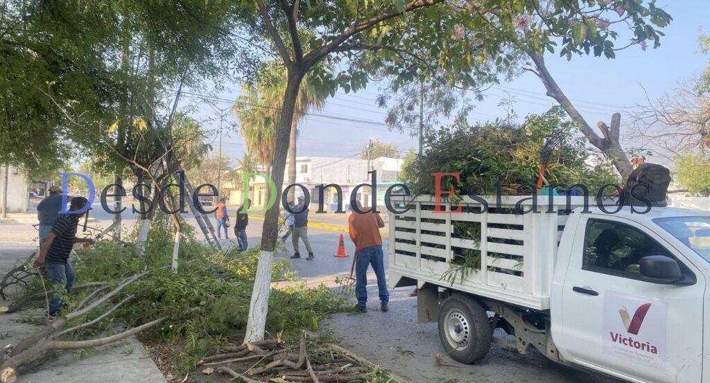 Fortalece municipio limpia y mantenimiento de vialidades y áreas verdes