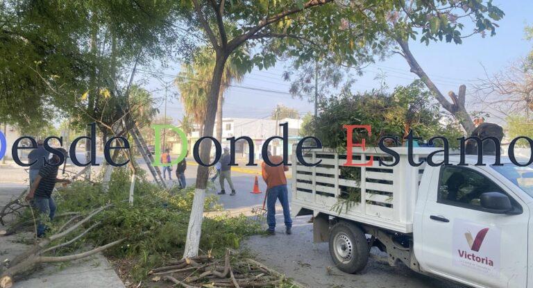 Fortalece municipio limpia y mantenimiento de vialidades y áreas verdes