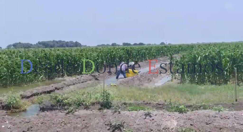 Usan agua concesionada a agricultores para pagar a EU