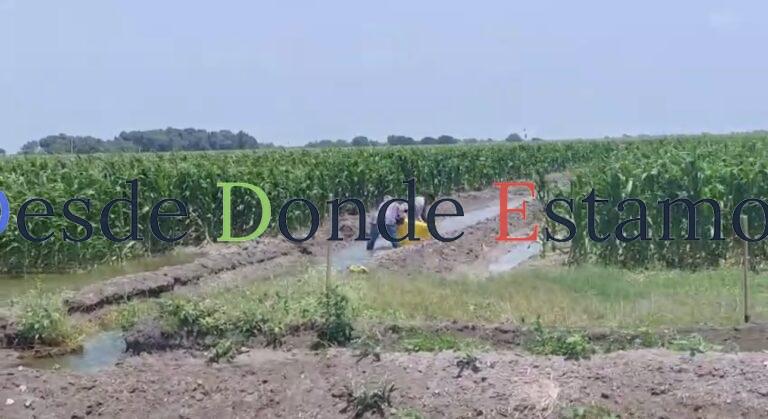 Usan agua concesionada a agricultores para pagar a EU