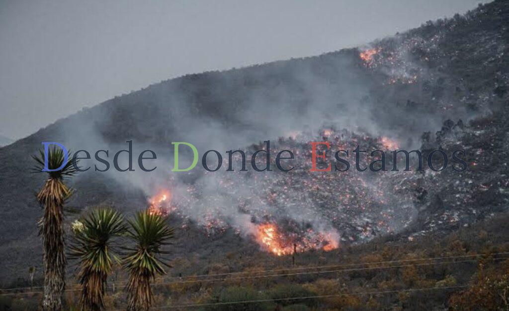 Pese a condiciones de seca, dan tregua incendios: PC
