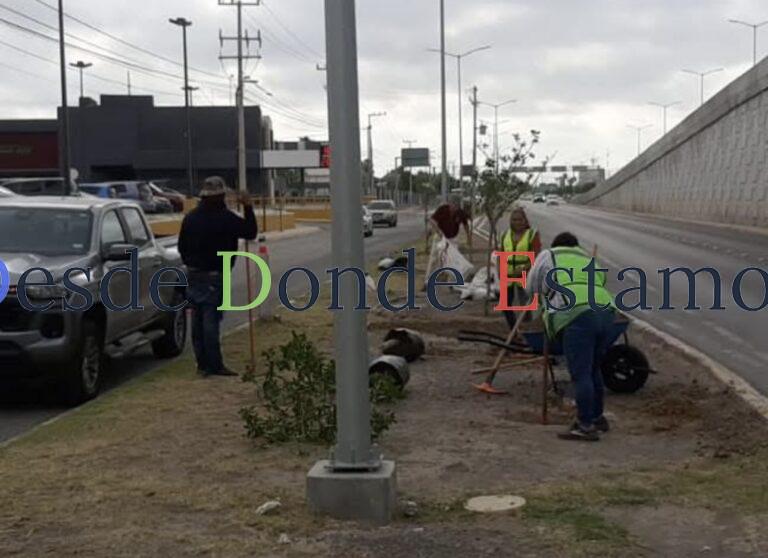 Embellece Servicios Públicos Calzada de los Héroes