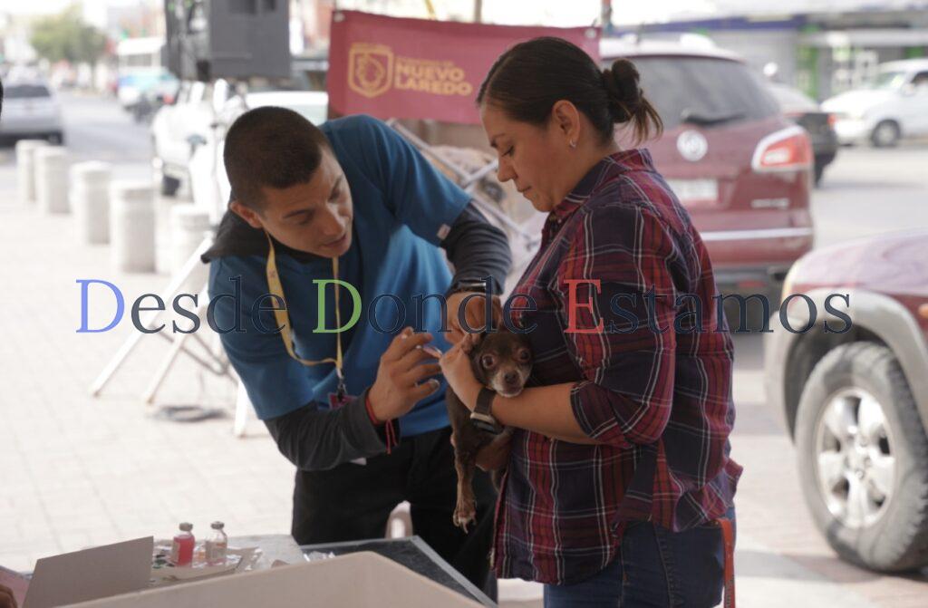 Invita Bienestar Animal a jornada gratuita de vacunación para perros y gatos