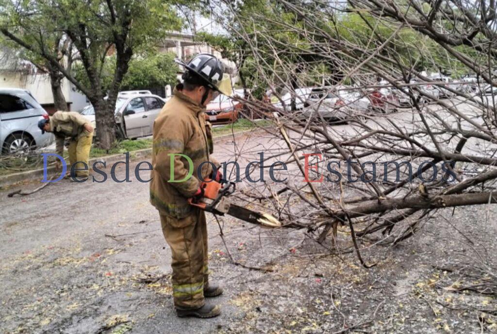 Realizan operativo de limpieza tras daños por tormenta