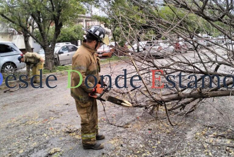 Realizan operativo de limpieza tras daños por tormenta