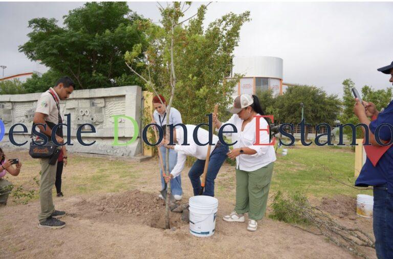 Impulsan campaña de reforestación en espacios públicos y educativos